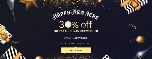 human hair wigs 2018